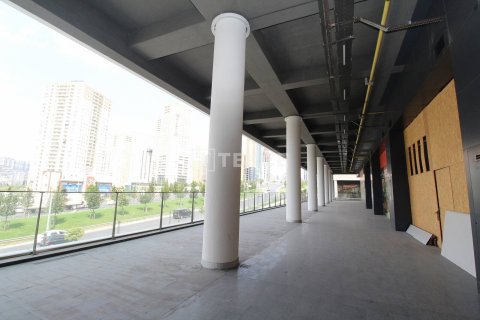 Ticari gayrimenkul   Esenyurt, İstanbul, Türkiye №45040 - 8