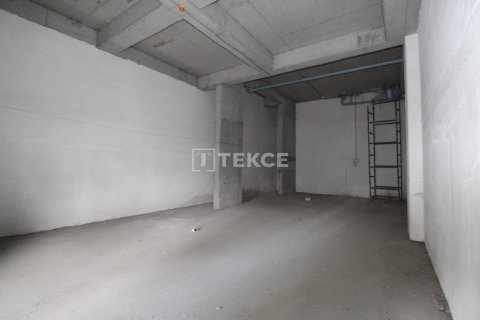 Ticari gayrimenkul   Esenyurt, İstanbul, Türkiye №45040 - 10