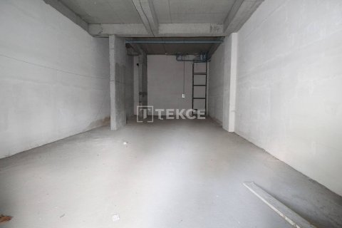 Ticari gayrimenkul   Esenyurt, İstanbul, Türkiye №45040 - 9
