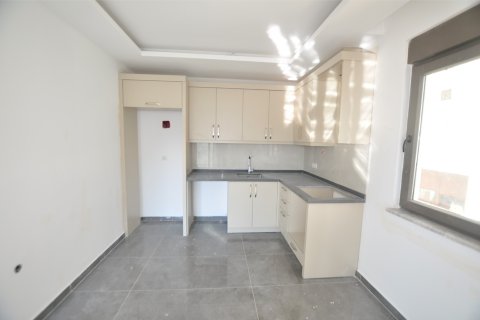 1+1 Wohnung  in Alanya, Antalya, Türkei Nr. 175069 - 7