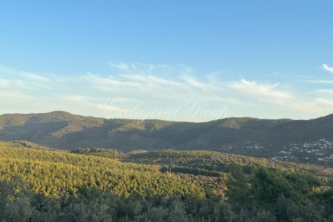 Villa 2+1 Bodrum, Muğla, Türkiye №179139 - 24