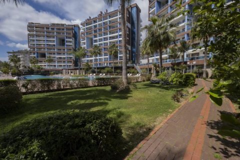 Apartment for sale  in Cikcilli, Antalya, Turkey, 60m2, No. 161109 – photo 7