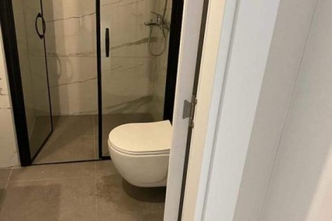 Продажа квартиры  в Аланье, Анталье, Турция 2 комн., 55м2, №170711 – фото 8