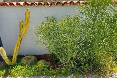 1+1 Lägenhet i Bodrum, Mugla, Turkiet Nr. 179024 - 4