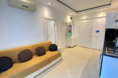 آپارتمان در Alanya ، ترکیه 1 خوابه شماره 179851 - 8