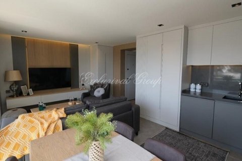 1+0 Wohnung  in Bodrum, Mugla, Türkei Nr. 179127 - 22