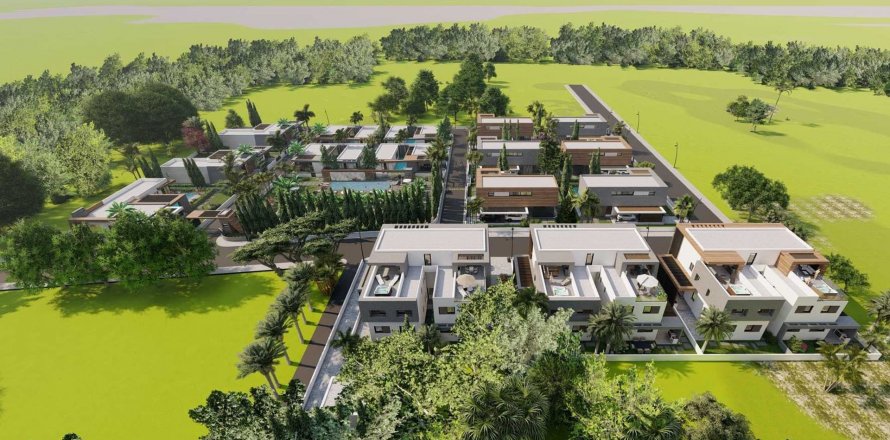 4Ever Green i Yeni Bogazici, Famagusta, Nr.161242