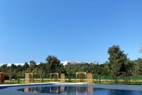 Wohnung in Mahmutlar, Antalya, Türkei Nr. 160054 - 15