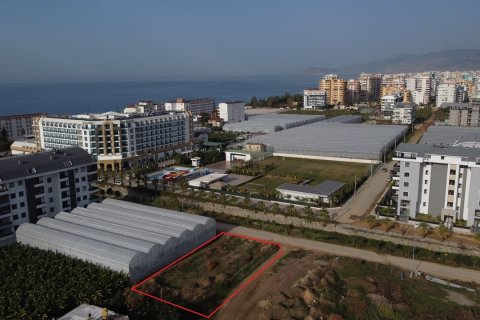 Apartment for sale in Kargicak, Alanya, Antalya, Turkey, 1 bedroom, 46m2, No. 179901 – photo 3