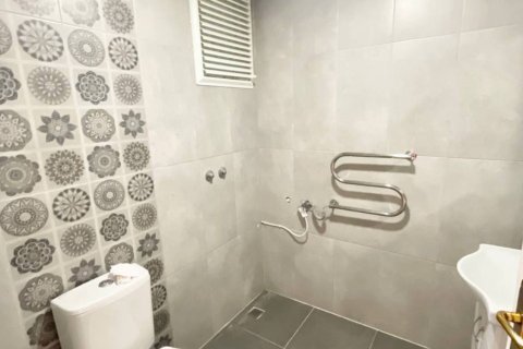 آپارتمان در  Alanya ، ترکیه 2 خوابه ، 110 متر مربع.  شماره 172453 - 11