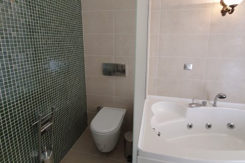4+1 Villa i Antalya, Turkiet Nr. 164497 - 22