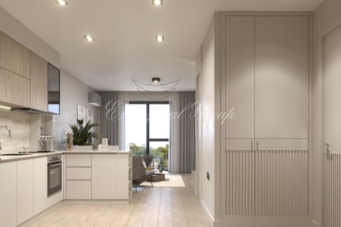 1+1 Leilighet i Istanbul, Tyrkia Nr. 179329 - 16