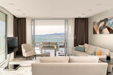 3+1 Wohnung  in Bodrum, Mugla, Türkei Nr. 179020 - 29