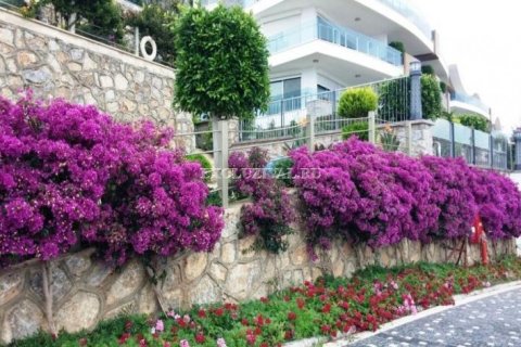 1+1 Wohnung in Alanya, Antalya, Türkei Nr. 178808 - 23