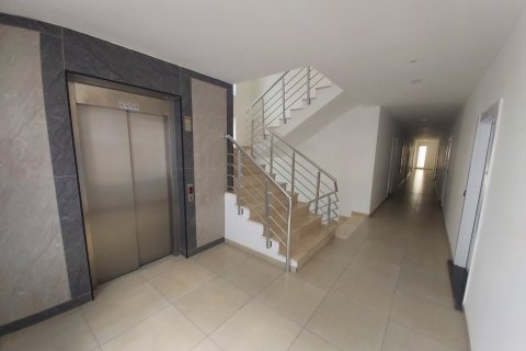 1+1 Wohnung in Alanya, Antalya, Türkei Nr. 181428 - 8