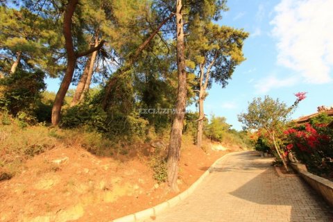 Tom  i Gökova, Mugla, Tyrkiet Nr. 178931 - 2