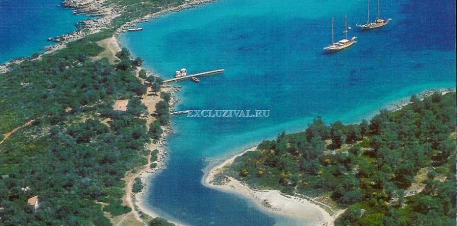 Tom  i Gökova, Mugla, Tyrkiet Nr. 178931