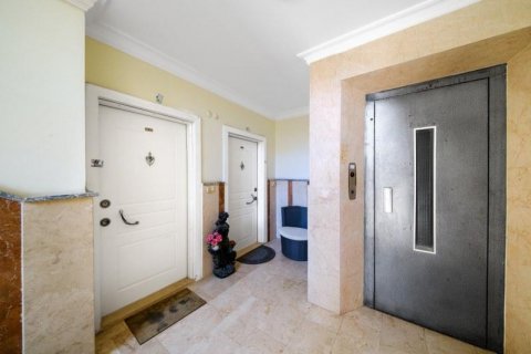 Wohnung in Alanya, Antalya, Türkei Nr. 170664 - 6
