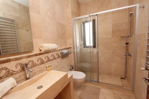 4+1 Villa  i Bodrum, Mugla, Turkiet Nr. 178484 - 12