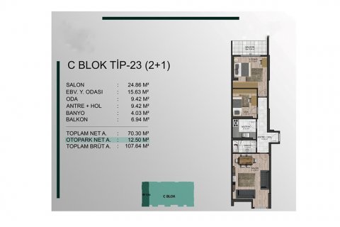 Villa i Pendik, istanbul, Turkiet Nr. 165005 - 26