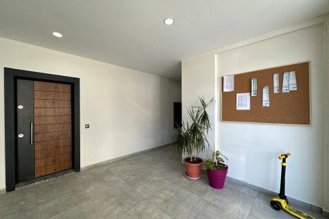 Продажа квартиры  в Аланье, Анталье, Турция 1+1, 50м2, №181372 – фото 8