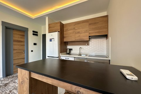 1+1 Wohnung  in Alanya, Antalya, Türkei Nr. 181372