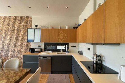 3+1 Villa  i Yalikavak, Mugla, Turkiet Nr. 162153 - 15