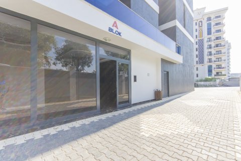 4+1 Leilighet  i Mahmutlar, Antalya, Tyrkia Nr. 211244 - 10