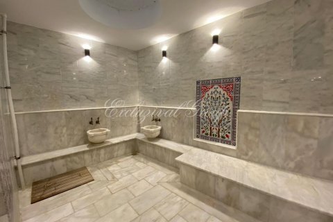 ویلا در  Bodrum ، ترکیه 5 خوابه ، 350 متر مربع.  شماره 187563 - 16