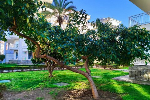 آپارتمان در Cikcilli ، ترکیه 70 متر مربع. شماره 168631 - 8