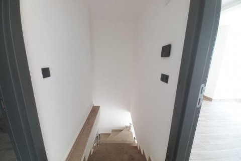 Wohnung  in Mahmutlar, Antalya, Türkei Nr. 165669 - 21