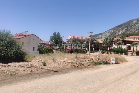Arsa   Fethiye, Muğla, Türkiye №192715