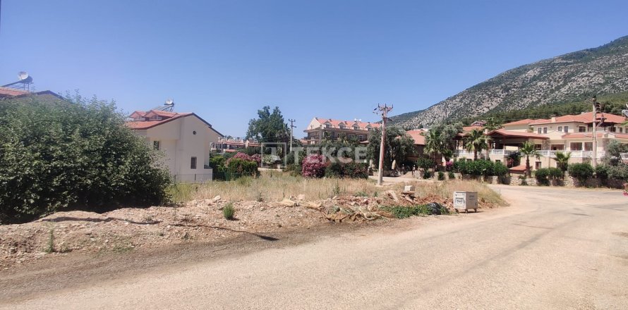 Tom  i Fethiye, Mugla, Tyrkiet Nr. 192715