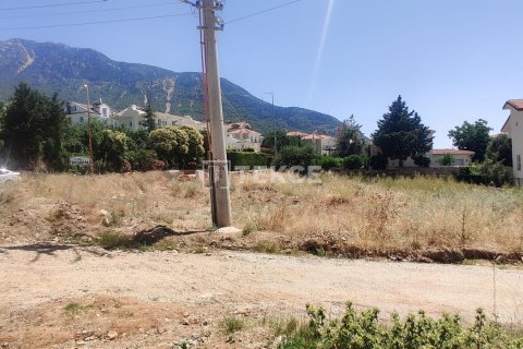 Tom  i Fethiye, Mugla, Tyrkiet Nr. 192715 - 10