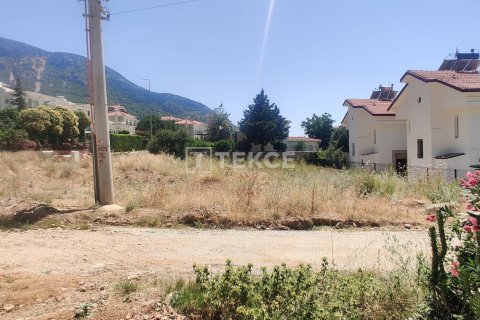 Tom  i Fethiye, Mugla, Tyrkiet Nr. 192715 - 11
