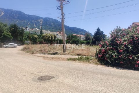 Tom  i Fethiye, Mugla, Tyrkiet Nr. 192715 - 7