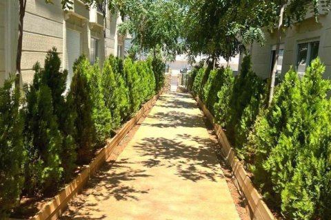آپارتمان در Oba ، ترکیه 3 خوابه ، 180 متر مربع. شماره 170496 - 17