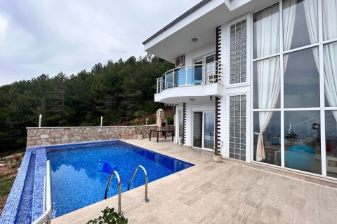 Villa  in Alanya, Antalya, Turkey No. 163473