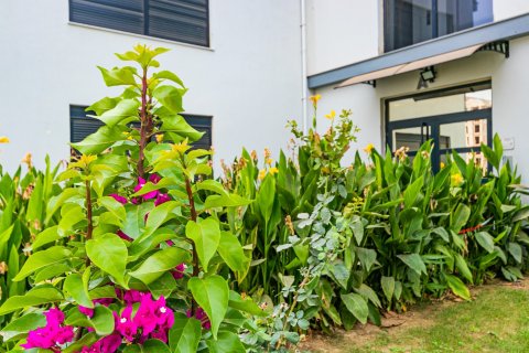 Wohnung in Antalya, Türkei Nr. 211215