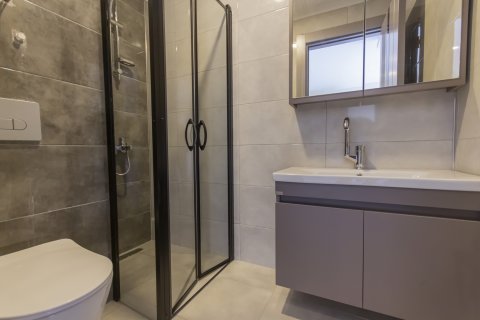 1+1 Leilighet i Aydin, Alanya, Antalya, Tyrkia Nr. 211226 - 19