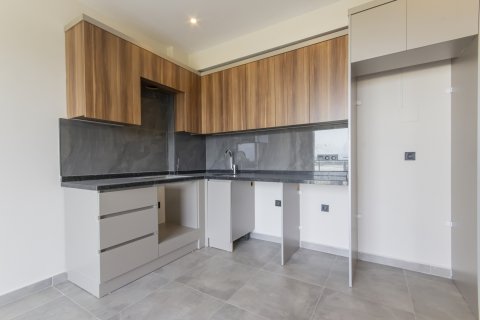 1+1 Leilighet i Aydin, Alanya, Antalya, Tyrkia Nr. 211226 - 24