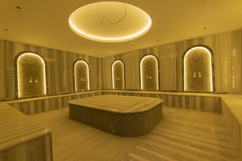 1+1 Leilighet i Aydin, Alanya, Antalya, Tyrkia Nr. 211226 - 16