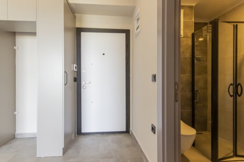 1+1 Leilighet i Aydin, Alanya, Antalya, Tyrkia Nr. 211226 - 18