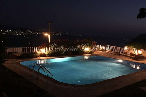 Villa 4+2 Bodrum, Muğla, Türkiye №188586 - 18