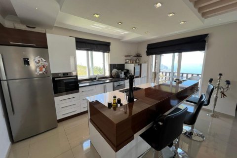 Villa  i Alanya, Antalya, Tyrkia Nr. 162396 - 17