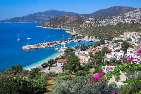 زمین در  Kalkan ، ترکیه 8329 متر مربع.  شماره 179231