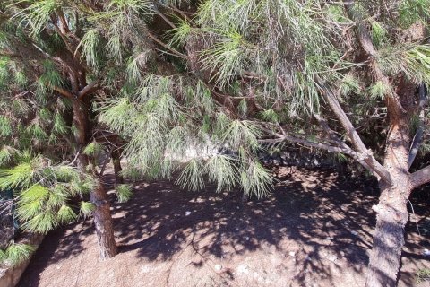 4+1 Villa i Bodrum, Mugla, Tyrkiet Nr. 178555 - 18