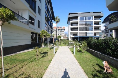 Wohnung in Oba, Antalya, Türkei Nr. 185413 - 17