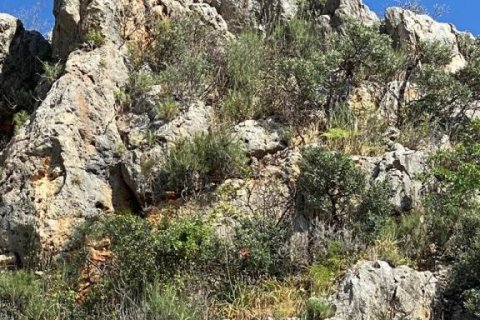 Lejlighed  i Kestel, Antalya, Tyrkiet Nr. 167572 - 26