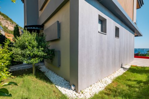 8+1 Villa i Alanya, Antalya, Tyrkiet Nr. 169874 - 18
